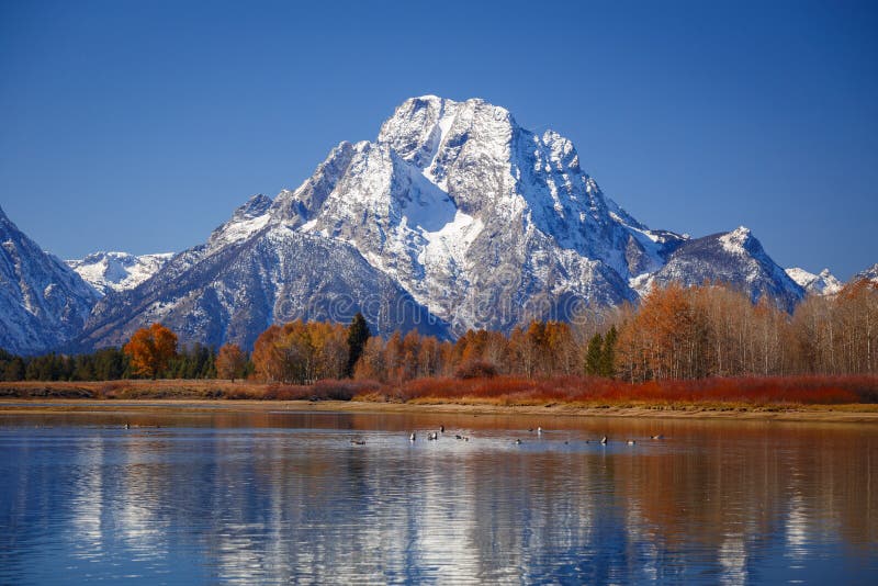 Oxbow Bend Viewpoint On Mt Moran Snake River And Its Wildlife During