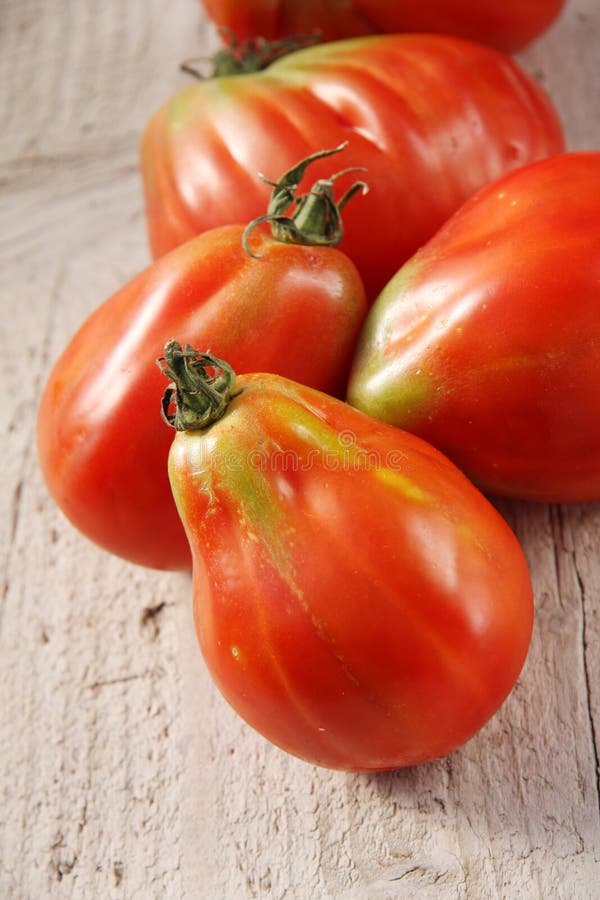 Green Oxheart Variety Tomatoes on the Vine in Greenhouse Stock Photo