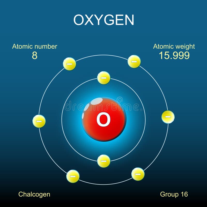 Oxygen atom structure. Bohr model of atom vector illustration