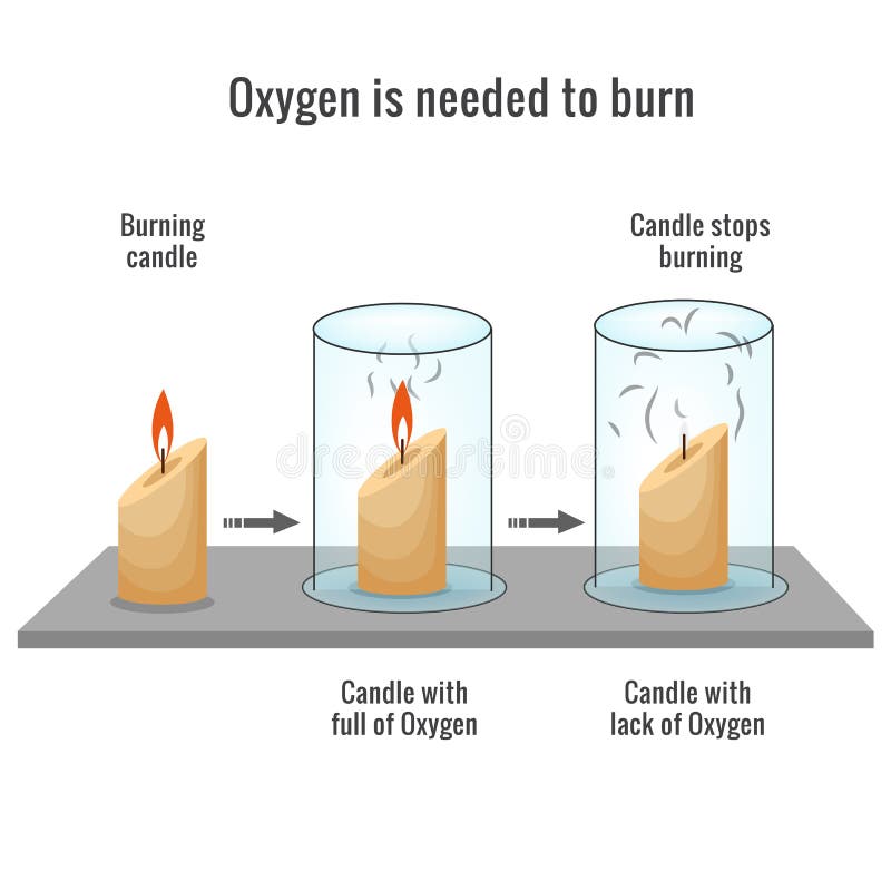 Combustion Reaction Stock Illustrations 232 Combustion Reaction Stock