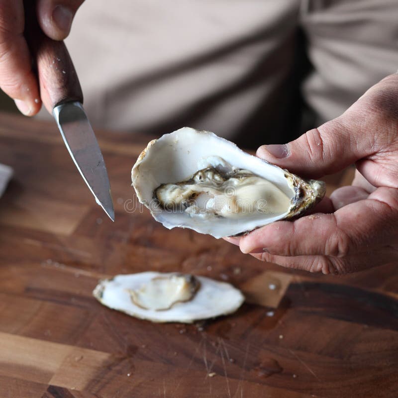 Oyster English Blog New Site Updates