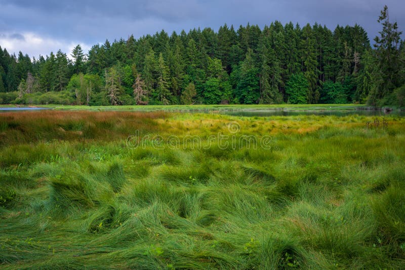 Oyster Bay Spring Colors before Sunset Stock Photo Image of marsh
