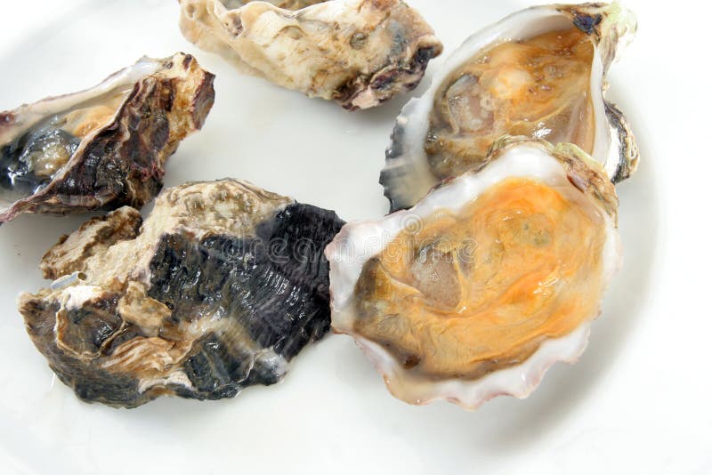 Oyster, or mussel stock images