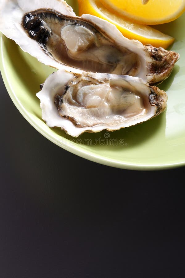 Fresh marine oyster stock photo. Image of shellfish, oyster 33364512