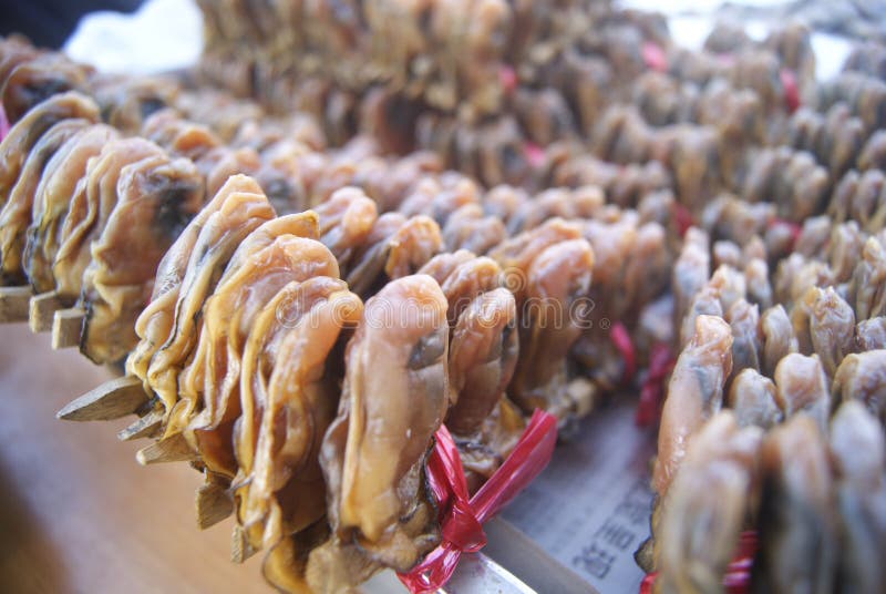 Oyster dry stock image. Image of nutrition, life, health 37069181