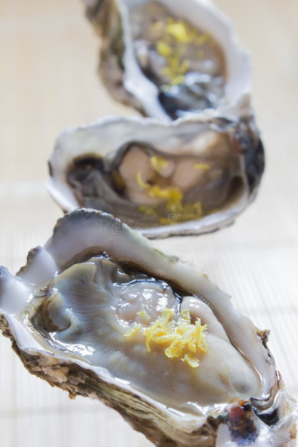 Oyster stock image. Image of appetizer, shell, ocean 34202737
