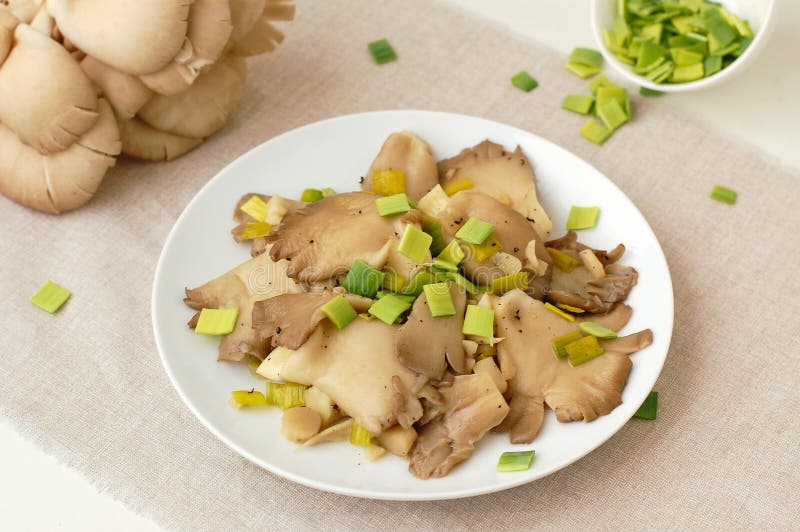 Oyster Mushroom Wiht Leek on the Plate Stock Photo Image of lifestyle