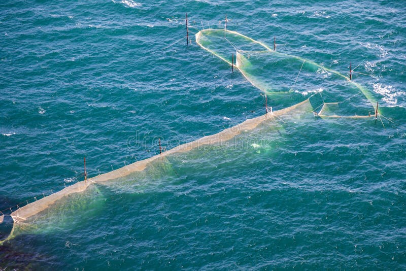 Oyster nets, oyster and mussel fishing royalty free stock photography