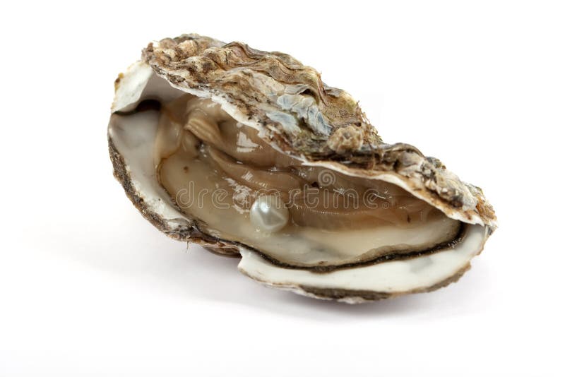 Oyster with pearl