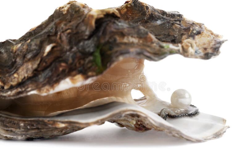 Oyster with pearl