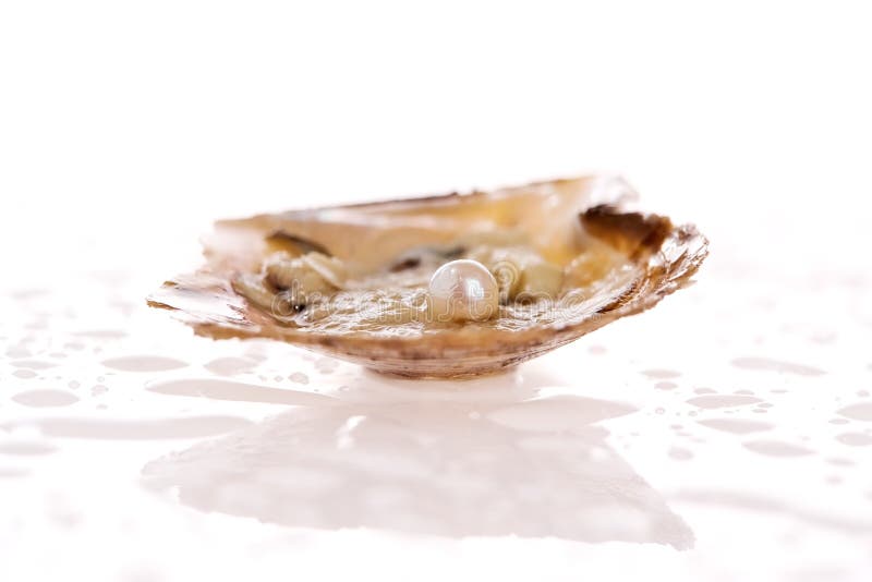 Oyster Pearl stock photo. Image of reflection, shell, isolated 2892880