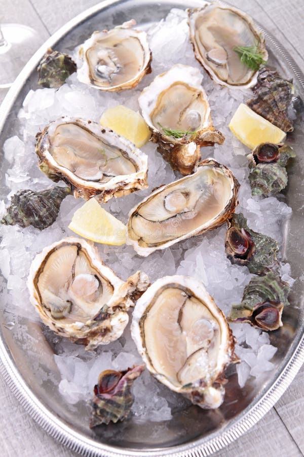 Oyster served in ice stock photo. Image of cuisine, fresh 27643844