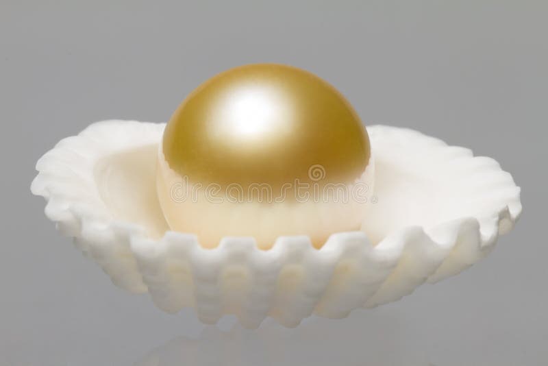 Oyster Shell and Pearl stock photo Oyster Shell and Pearl stock photo