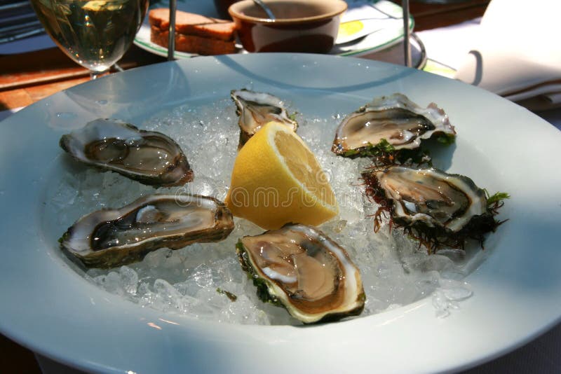 Cooking oysters stock image. Image of italy, home, shellfish 3976743