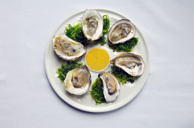 Oysters