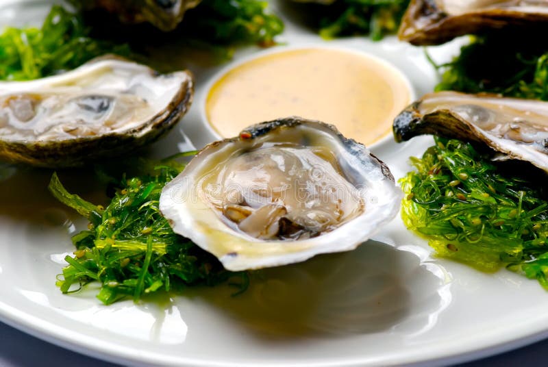 Oysters