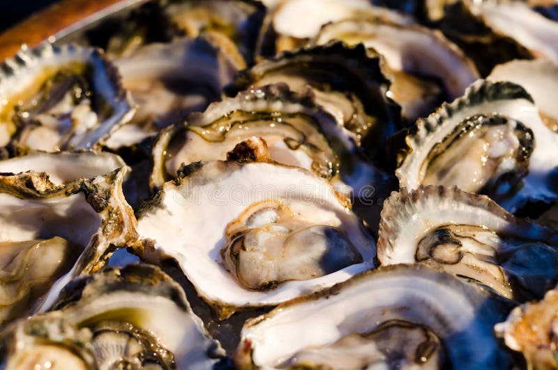 Oysters for BBQ