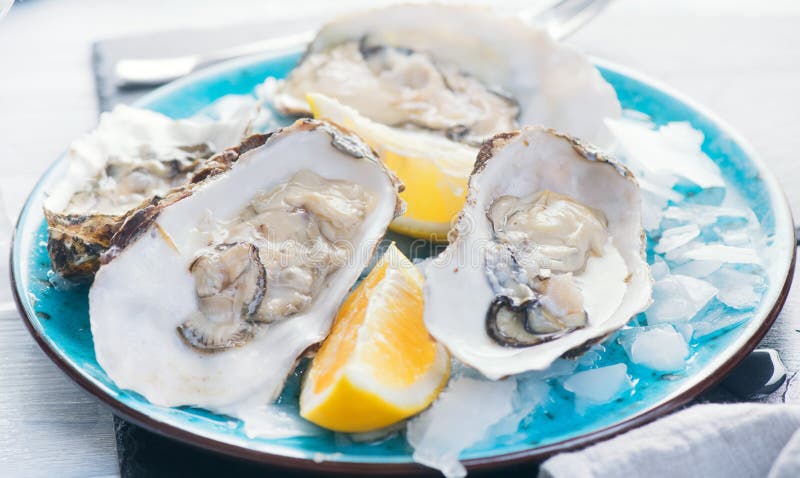 Oysters close-up on blue plate, served table with fresh oysters, lemon and ice. Healthy sea food. Fresh Oyster dinner in restauran. T. Gourmet food stock image Oysters close-up on blue plate, served table with fresh oysters, lemon and ice. Healthy sea food. Fresh Oyster dinner in restauran. T. Gourmet food stock image