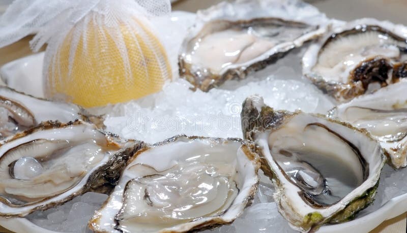 Oysters, delicacy royalty free stock images