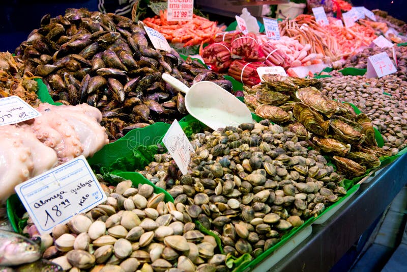 Oysters are Good for Sexual Health! Stock Image Image of ingredient