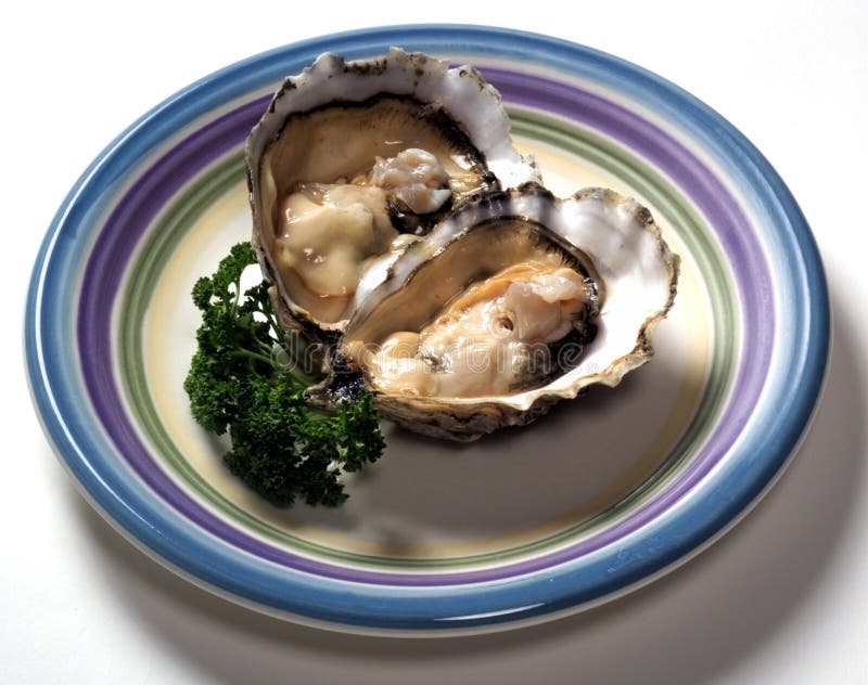 Oysters on the Half Shell stock photo. Image of oysters 116264914
