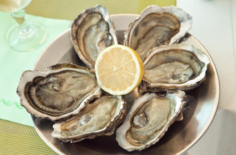 Fresh Six Giant Oysters Served on Shell with Limon on a Plate Stock