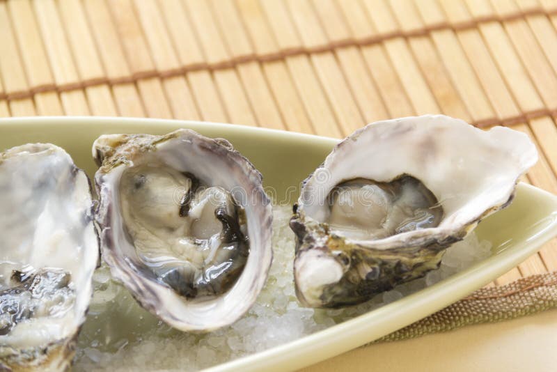 Oysters Natural stock photo. Image of meal, starters 31951974