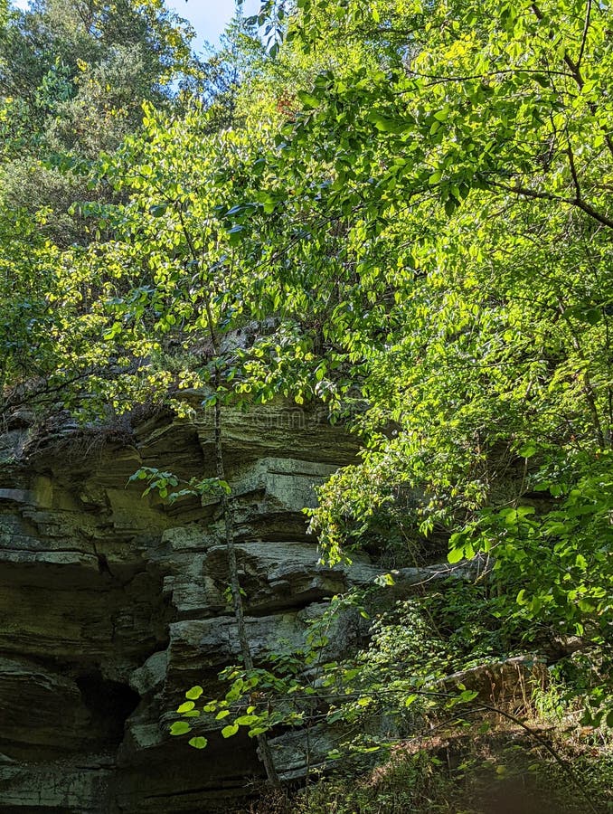 Ozark National Forest stock image. Image of landscape 253780865