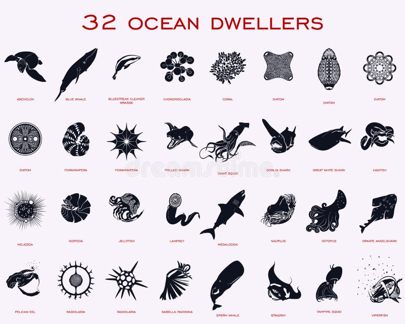 Set of vector illustration of deep ocean creatures. Set of vector illustration of deep ocean creatures.