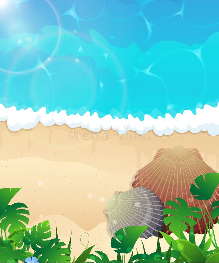 Ozeanstrand mit Cockleshells stock abbildung