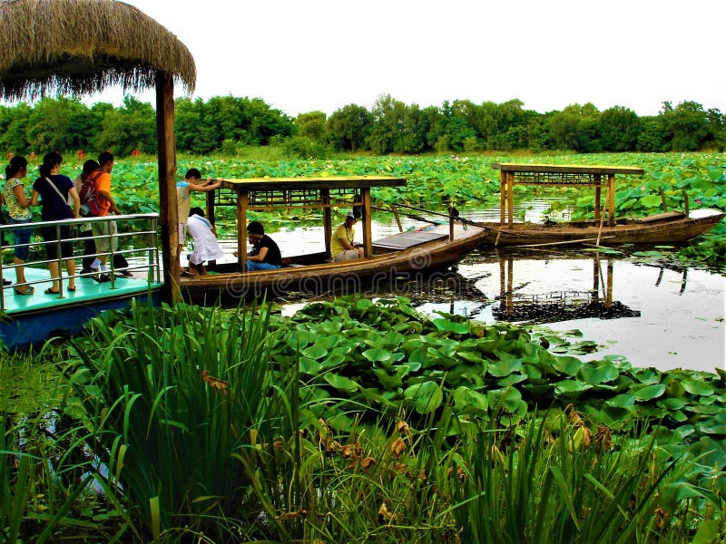 Oásis, lago, turistas e flores de lótus chineses imagens de stock Oásis, lago, turistas e flores de lótus chineses imagens de stock