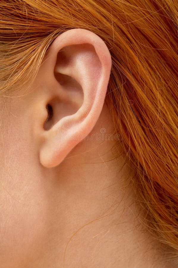 Color closeup picture of redhead lady ear. Color closeup picture of redhead lady ear