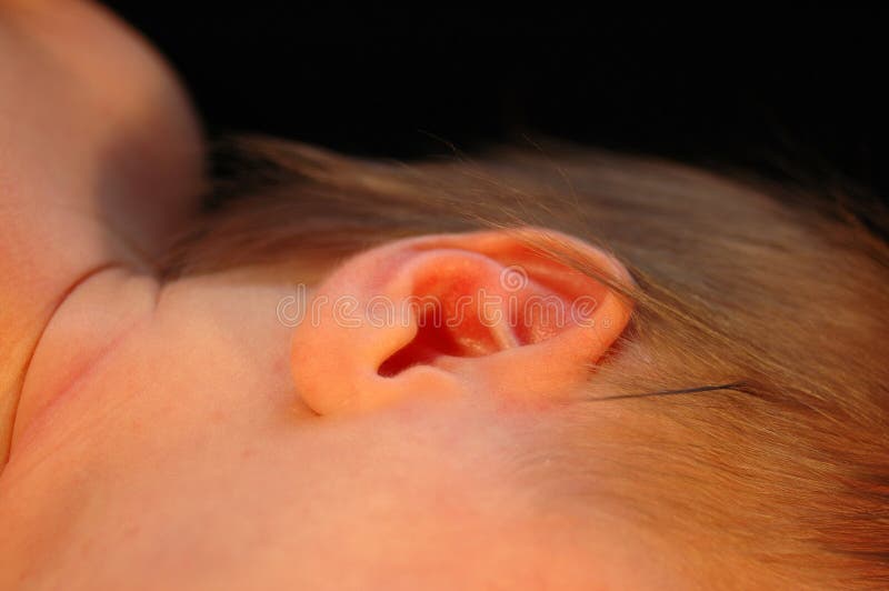 A closeup of a little ear of a newborn caucasian white baby. A closeup of a little ear of a newborn caucasian white baby