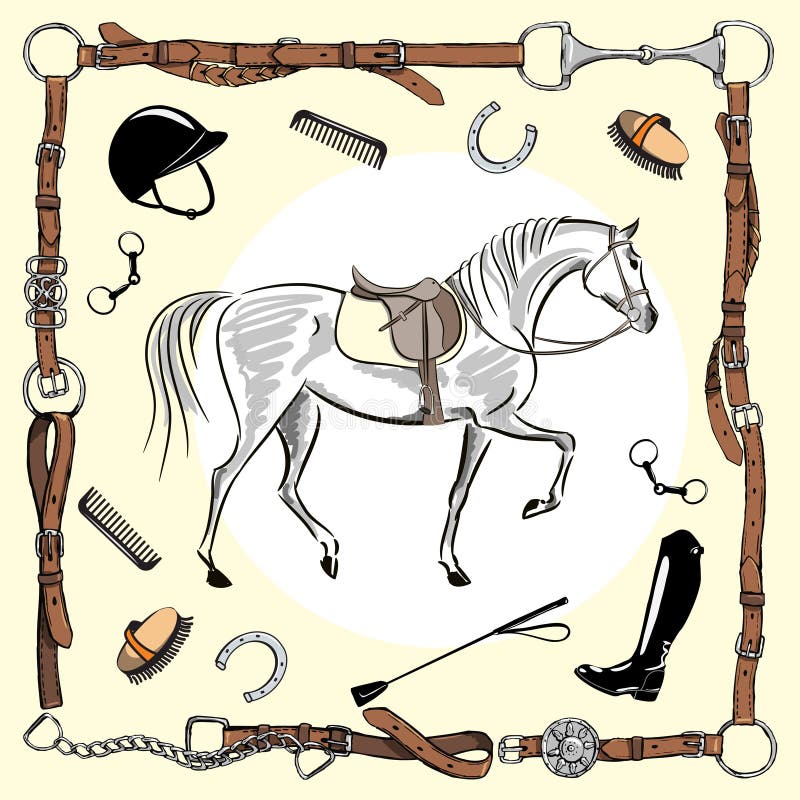Horse Equestrian Riding Tack Tool Stock Illustrations 243 Horse