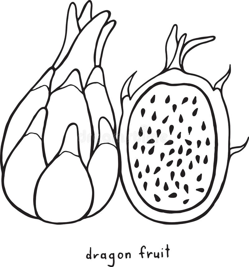 Desenhos de frutas do dragão para colorir - Páginas para colorir