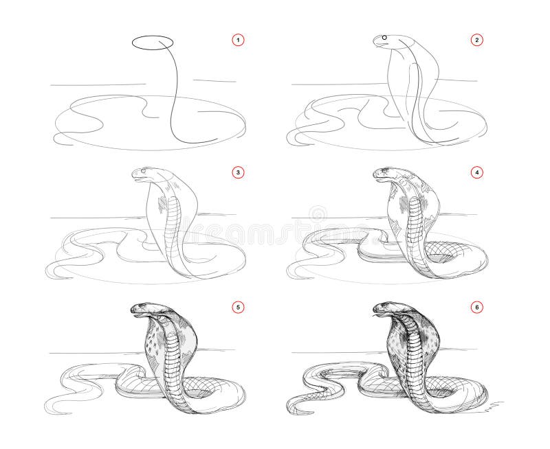 Como Desenhar Uma Cobra Passo A Passo 🐍 Desenhar Cobra Fácil 