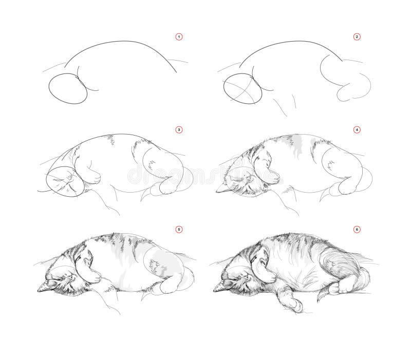 Desenho De à Mão Um Gato Adormecido Pode Ser Usado Para Aprender A