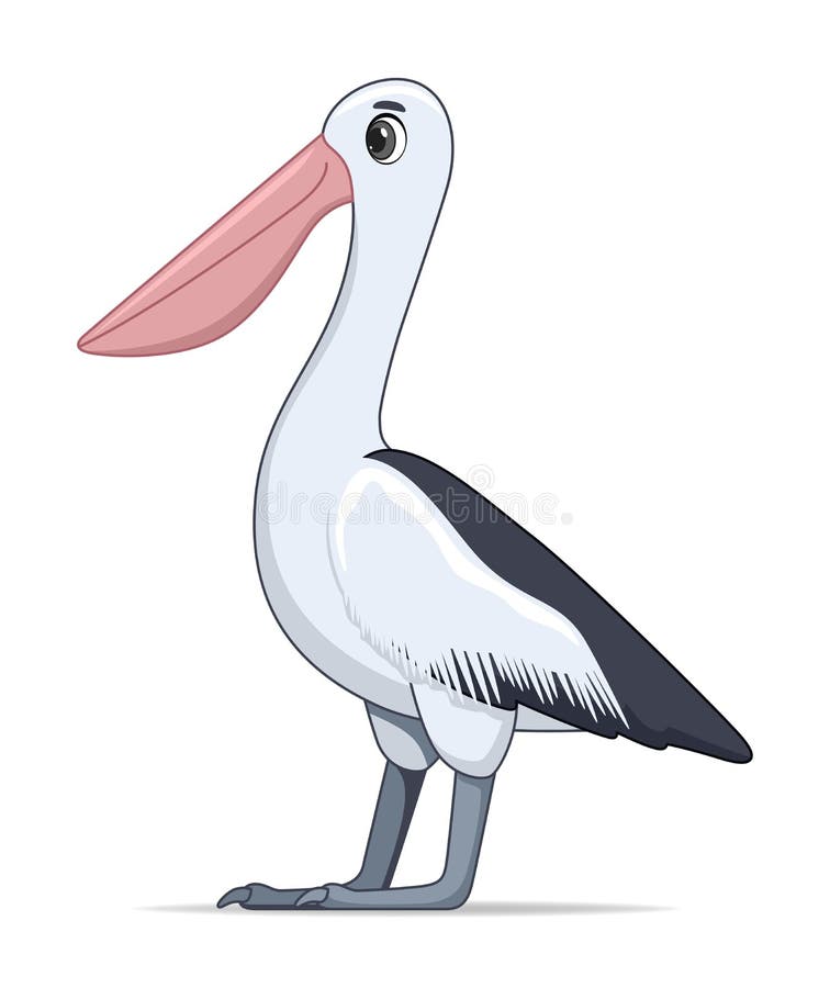 Pájaro Pelícano Sobre Fondo Blanco Ilustración del Vector - Ilustración de  fauna, alegre: 201174118