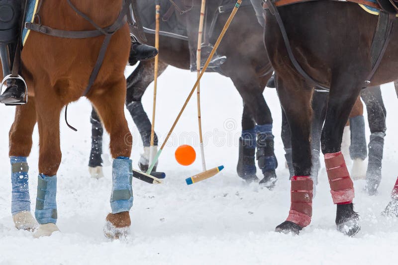 Foto de Cavalos De Polo e mais fotos de stock de Jogo de Polo