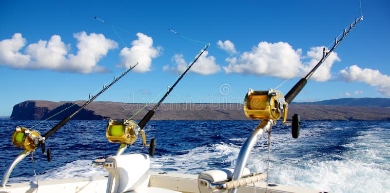 Canne à pêche Professionnelle Pêche en mer Rod Rod Set Sea Rod