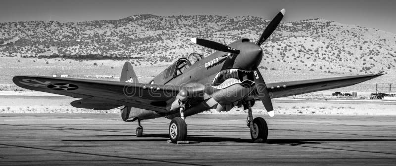 P-40B Tiger Shark Warbird på skärm