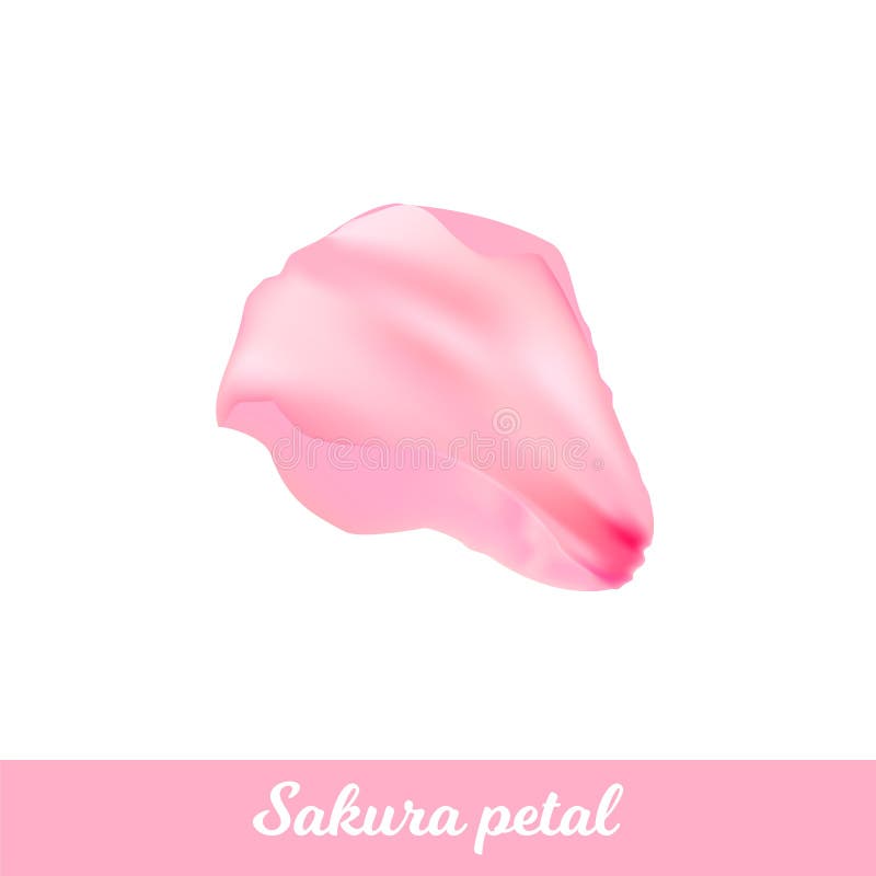 P?tale de Sakura de rose de beaut? illustration de vecteur P?tale de Sakura de rose de beaut? illustration de vecteur