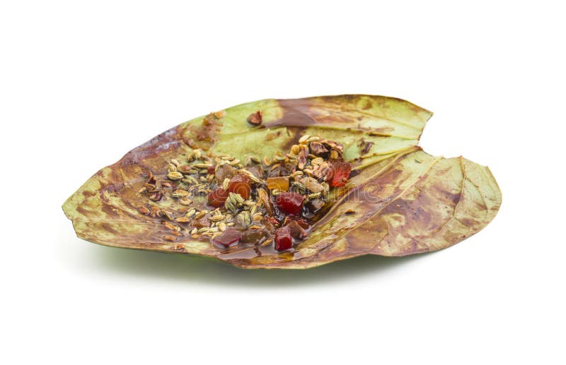 Masala paan royaltyfria bilder