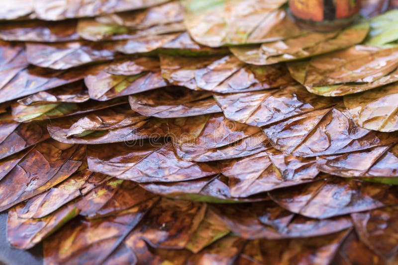 Masala paan royaltyfria foton