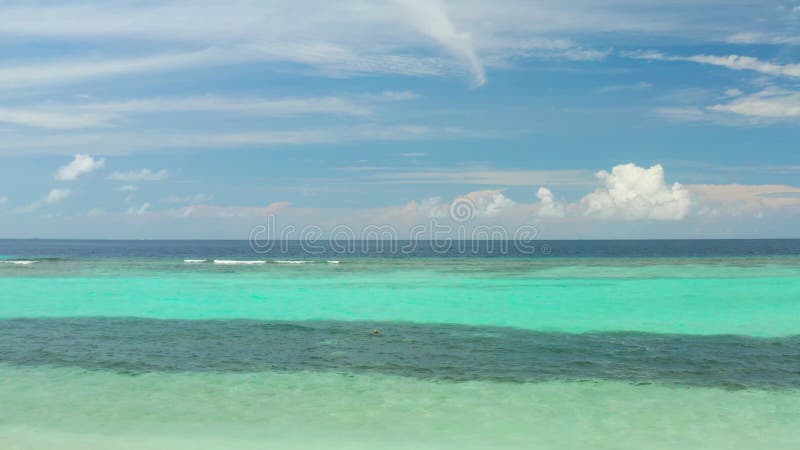 Paar auf einem tropischen Strand mit blauem Wasser, Palmen und weißem Sand. Lufttrockenansicht. stock footage