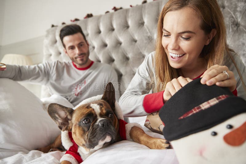 Paar in Bed thuis met Hond Gekleed in Santa Costume Opening Gifts On-Kerstmisdag royalty-vrije stock foto's Paar in Bed thuis met Hond Gekleed in Santa Costume Opening Gifts On-Kerstmisdag royalty-vrije stock foto's