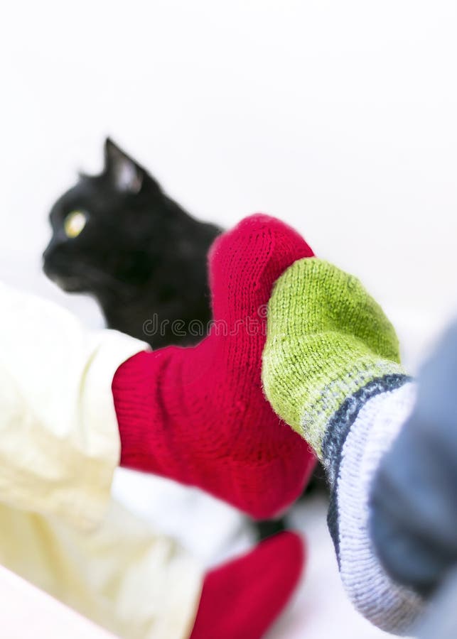 Paar in Kleurrijke Wollen Gebreide Sokken wat betreft elkaar Voeten Het zwarte kat letten op Mensen die thuis in Koud Seizoen ont royalty-vrije stock afbeelding Paar in Kleurrijke Wollen Gebreide Sokken wat betreft elkaar Voeten Het zwarte kat letten op Mensen die thuis in Koud Seizoen ont royalty-vrije stock afbeelding