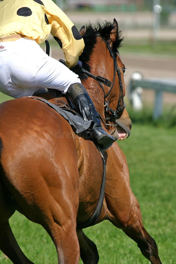 Paard en jockey