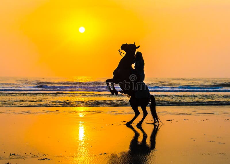Paard en ruiter die de gouden zon begroeten stock foto's Paard en ruiter die de gouden zon begroeten stock foto's