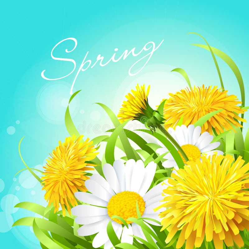 paardebloemen stock illustratie paardebloemen stock illustratie